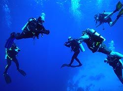 Opplev snorkling og dykking i Barcelona og Costa Brava, Spania