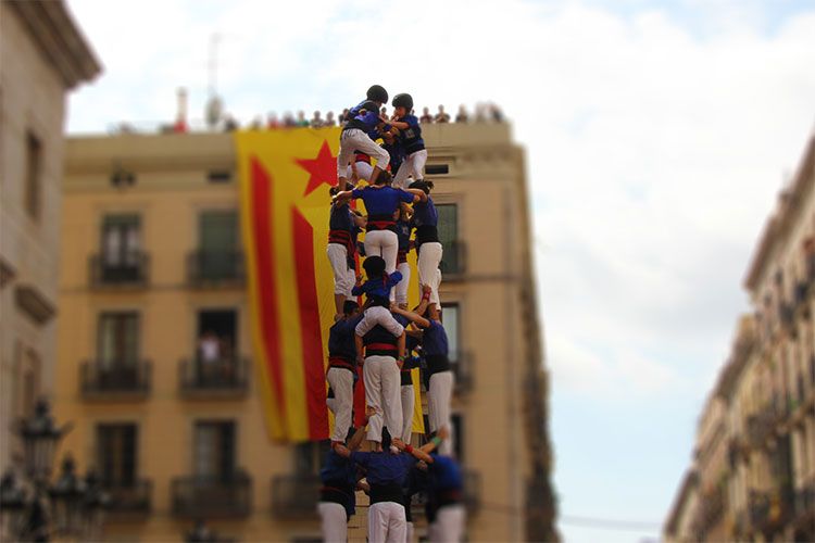 Festa major Sant Antoni - Festival i Barcelona